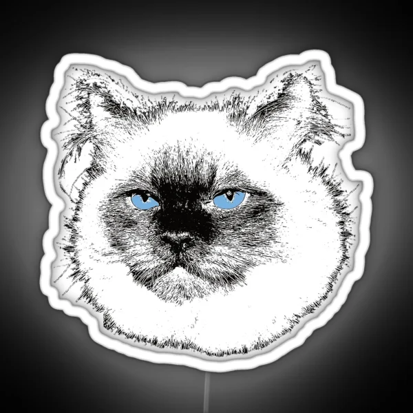 Ragdoll Cat Christmas Gift For Ragdoll Owners RGB Neon Sign