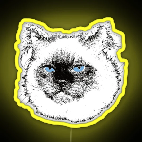 Ragdoll Cat Christmas Gift For Ragdoll Owners RGB Neon Sign