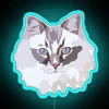 ragdoll-cat-neon-sign-rgb-blue