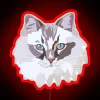 Ragdoll RGB neon sign with glowing red lights.