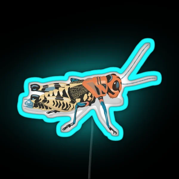 Rainbow Grasshopper RGB Neon Sign