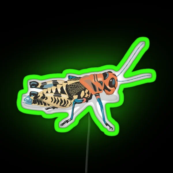 Rainbow Grasshopper RGB Neon Sign