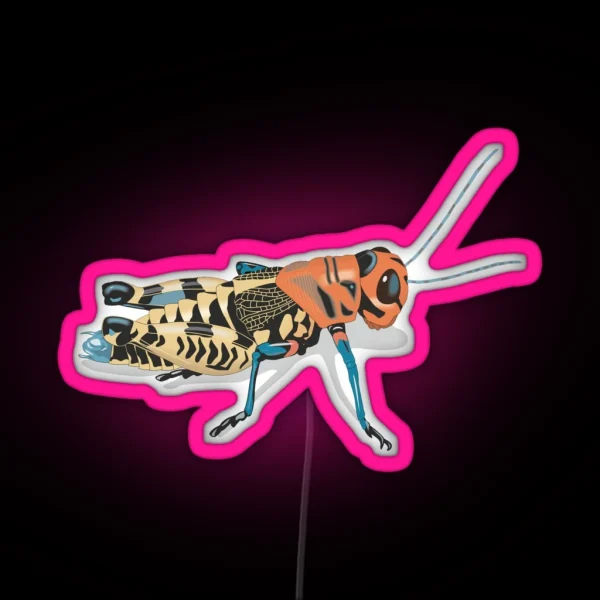 Rainbow Grasshopper RGB Neon Sign