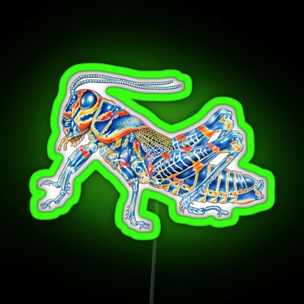 Rainbow Grasshopper RGB Neon Sign