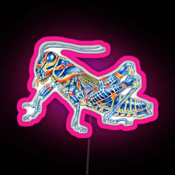 Rainbow Grasshopper RGB Neon Sign