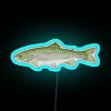 rainbow trout neon sign rgb blue