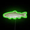 Rainbow Trout Neon Sign with RGB Lighting