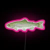 rainbow trout neon sign rgb colors neon pink design