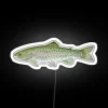 rainbow trout neon sign rgb colors white background