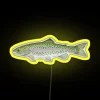 rainbow trout neon sign rgb yellow