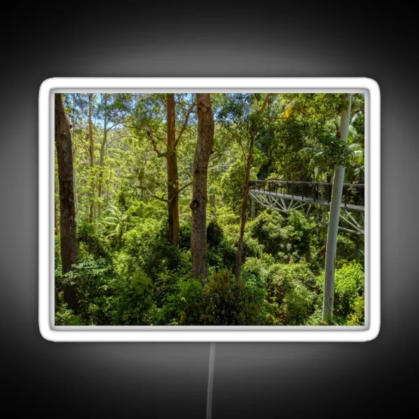 Rainforest Elevated Walkway RGB Neon Sign
