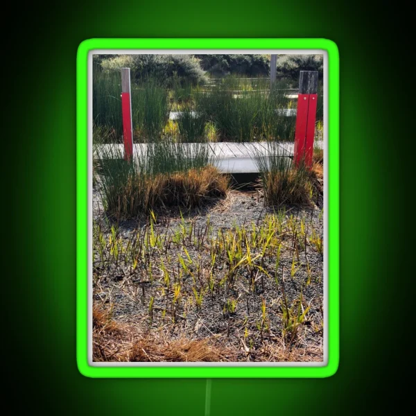 Raised Walkway In A Garden RGB Neon Sign