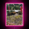 raised-walkway-in-a-garden-with-rgb-neon-sign-pink