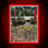 raised-walkway-garden-rgb-neon-red