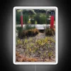 raised-walkway-garden-rgb-neon-sign-white