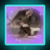 RGB neon rat mood meme sign with a blue design.