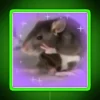 rat-mood-neon-green-rgb-sign