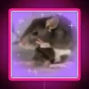 rgb-neon-rat-meme-pink-color-scheme