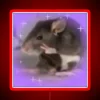 A neon RGB rat mood meme sign in bright red color.