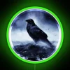 Raven in Mystical Light with RGB Neon Sign - Green