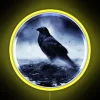 raven-majestic-rgb-neon-sign-yellow