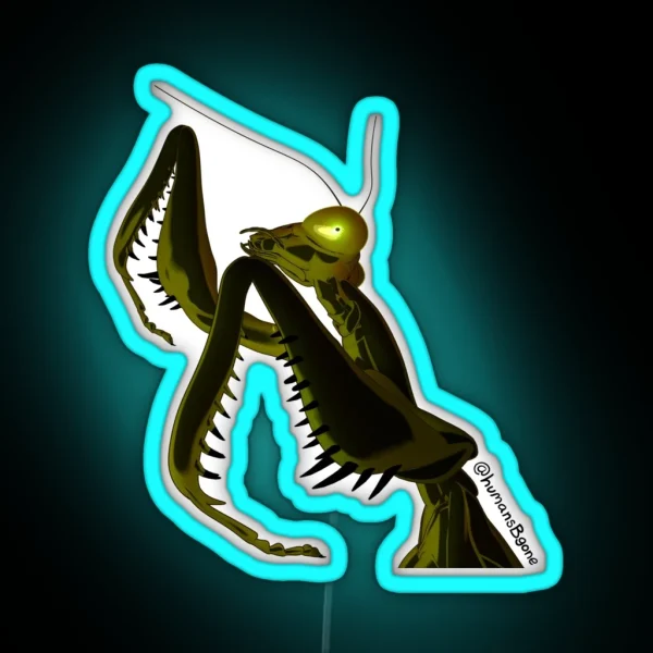 Realistic Sophodra Poised RGB Neon Sign