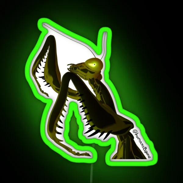 Realistic Sophodra Poised RGB Neon Sign
