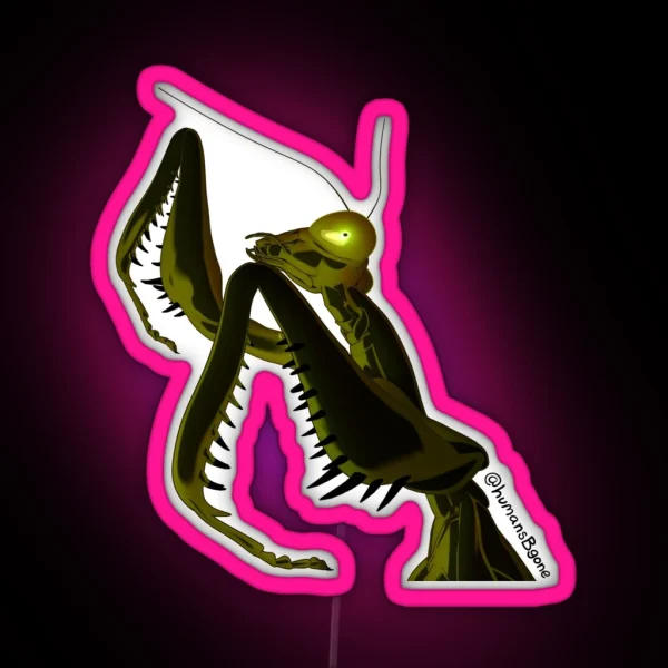 Realistic Sophodra Poised RGB Neon Sign