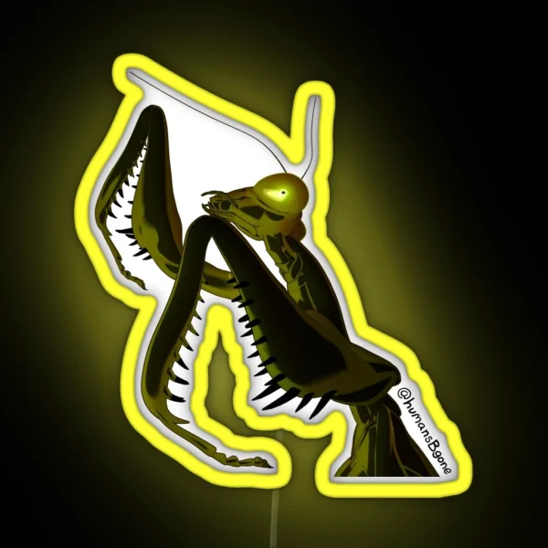 Realistic Sophodra Poised RGB Neon Sign