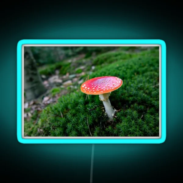 Red Mushroom Fly Agaric RGB Neon Sign