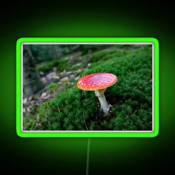 Red Mushroom Fly Agaric RGB Neon Sign