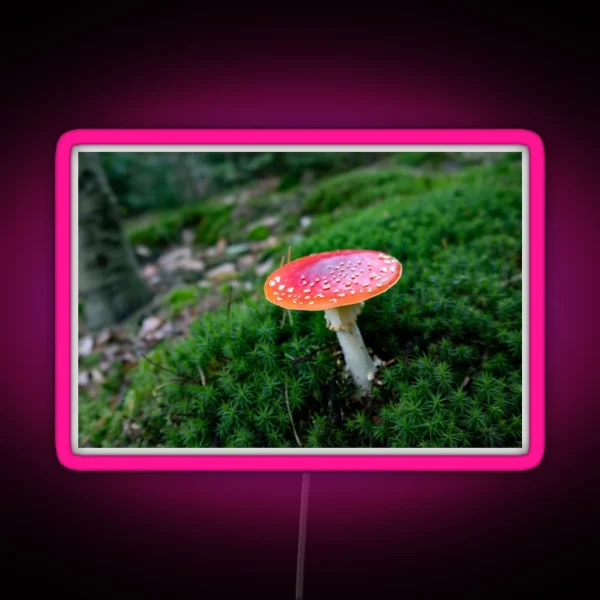 Red Mushroom Fly Agaric RGB Neon Sign