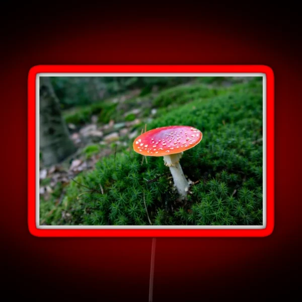 Red Mushroom Fly Agaric RGB Neon Sign