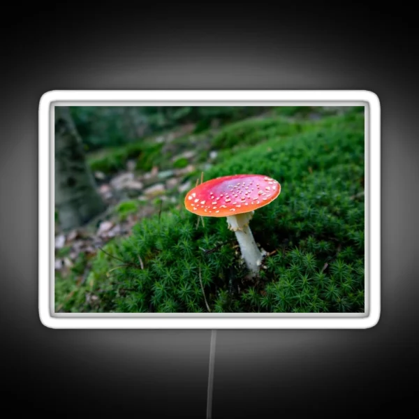 Red Mushroom Fly Agaric RGB Neon Sign