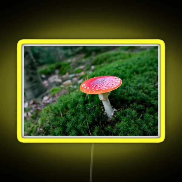 Red Mushroom Fly Agaric RGB Neon Sign
