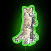 Reed Meowtet Guster RGB Neon Sign in Green