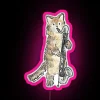 Reed Meowtet Guster RGB neon sign in pink.