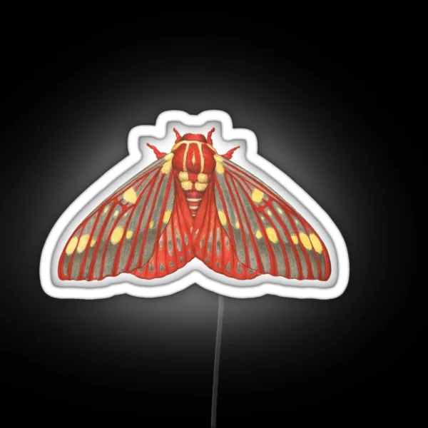 Regal Moth Citheronia Regalis RGB Neon Sign
