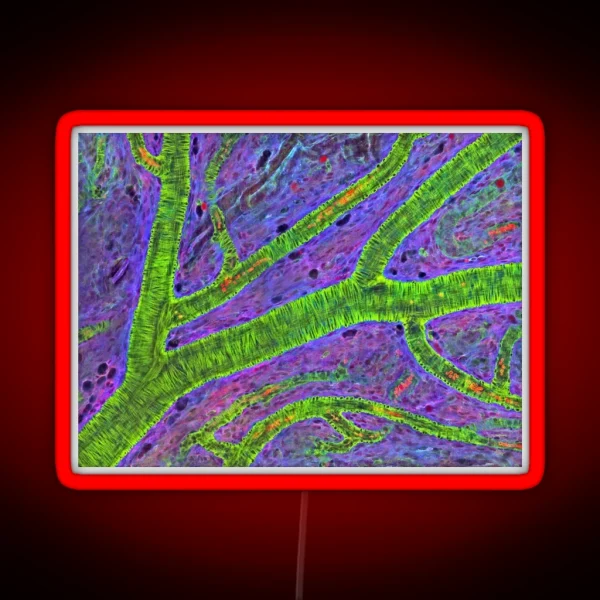 Retina Blood Vessel P424 0240 RGB Neon Sign