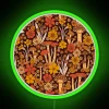 retro 1970s neon sign featuring brown and orange mushrooms with colorful flowers rgb design green glow