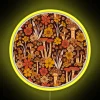 retro-1970s-brown-orange-mushrooms-flowers-neon-sign