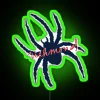 handwritten-neon-sign-richmond-spider-rgb