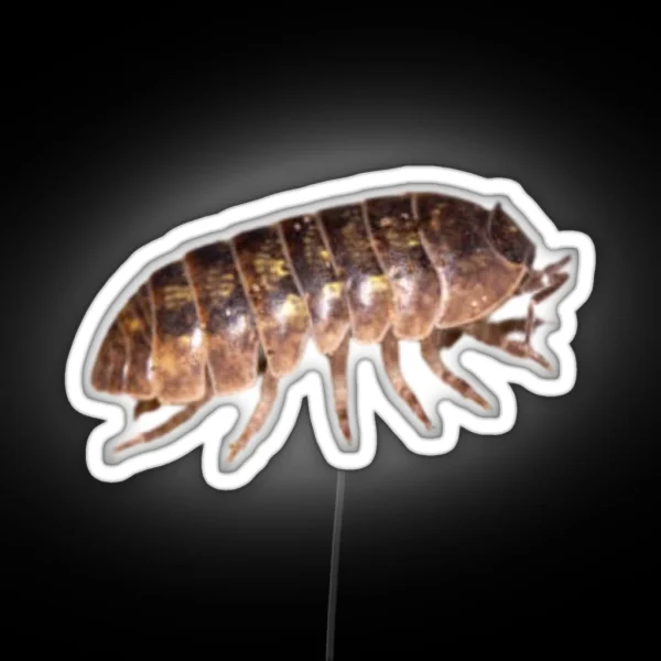 Roly Poly Isopod RGB Neon Sign