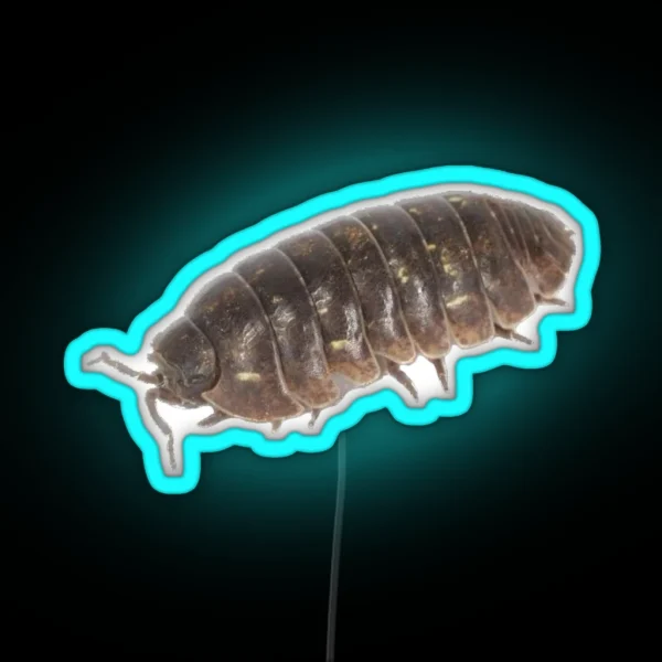 Roly Poly Pill Bug Isopod Friend RGB Neon Sign