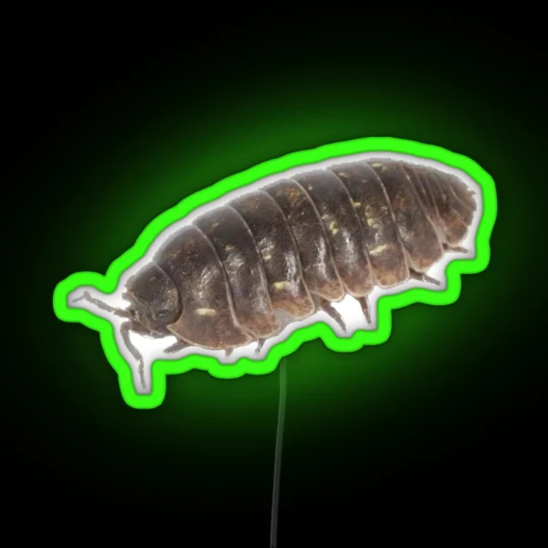 Roly Poly Pill Bug Isopod Friend RGB Neon Sign