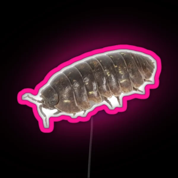 Roly Poly Pill Bug Isopod Friend RGB Neon Sign