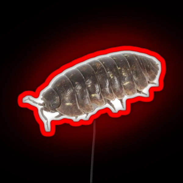 Roly Poly Pill Bug Isopod Friend RGB Neon Sign