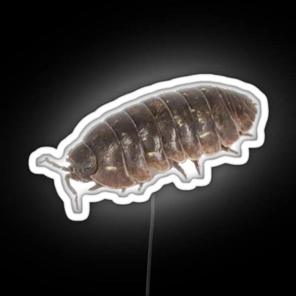 Roly Poly Pill Bug Isopod Friend RGB Neon Sign