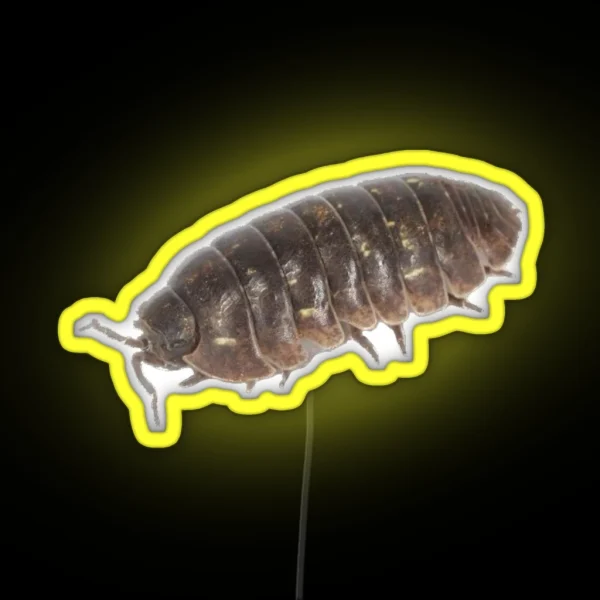 Roly Poly Pill Bug Isopod Friend RGB Neon Sign