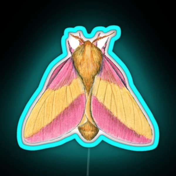Rosy Maple Moth 2 Dryocampa Rubicunda RGB Neon Sign
